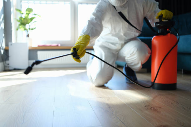 Reliable Odor Removal contractor in Limington, ME by Trauma Clean Pros